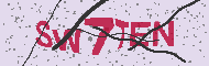 Güvenlik Kodu
