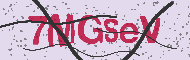 Güvenlik Kodu